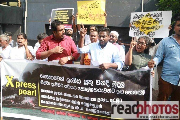 ඩොලර් වෙනුවෙන් වටිනා මුහුදු ජීවීන් වැනසූ ඝාතකයින්ට දඬුවම් දෙනු! ආදී සටන් පාඨ කියමින් අදත් උද්ඝෝෂණයක්!