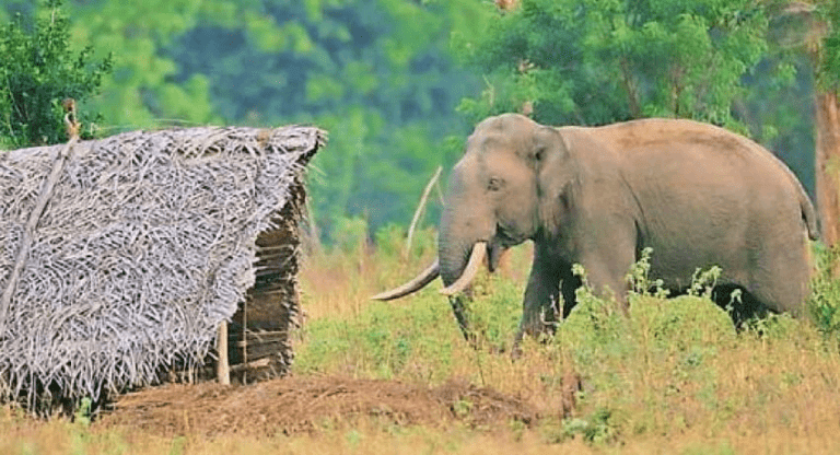 රටේ ආහාර සුරක්ෂිතතාවය සඳහා ධනාත්මක වැඩපිළිවෙලක්.