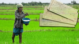 හෙට (22) සිට ගොවීන්ට පොහොර සහනාධාර වවුචර්පත්.