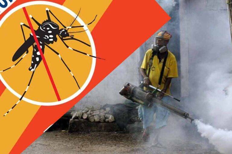 ඩෙංගු අධි වසංගත තත්වයක් ඇතිවීමේ අවදානමක් – PHI සංගමය අනතුරු හඟවයි !