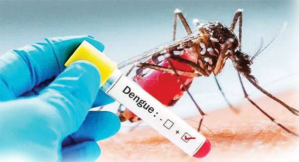 ඩෙංගු ම‍ර්දනයට වැඩි අවධානයක්
