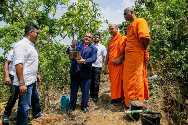 රතු දත්ත පොතට යන ශාක වර්ග 625ක පැළ කෝටියක් රෝපණය කිරීම ඩීපී එඩියුකේෂන් අරඹයි !