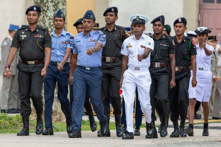 පැනිල්ලෙන් පෙනෙන පෙනිල්ල