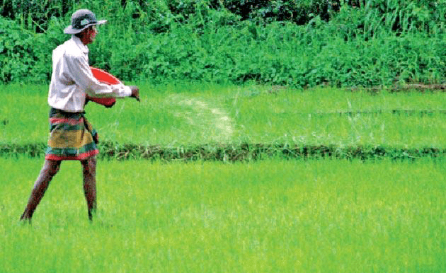 ගොවීන්ට රිසි සේ පොහොර