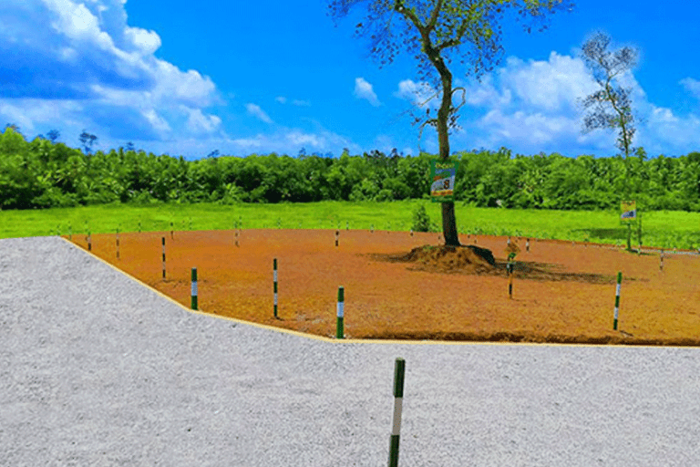 ඉඩම්  අණ පනත් සංශෝධනයට කමිටුවක්