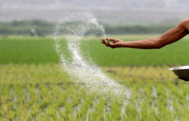 යූරියා පොහොර ආනයනයට අනුමැතිය