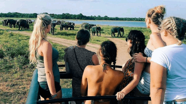 සංචාරකයන්ගේ පැමිණීම ඉහළට
