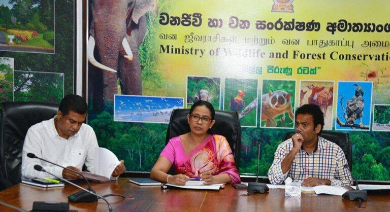 වන සංරක්ෂණ කලාප වල කුඩා ජල විදුලි බලාගාර ඉදිකිරීමට අවධානය!