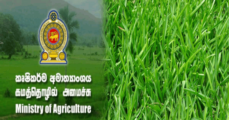 ඇල්ෆැල්ෆා ව්‍යාපෘතියක් ආරම්භ කිරීමට චීනයෙන් යෝජනාවක්