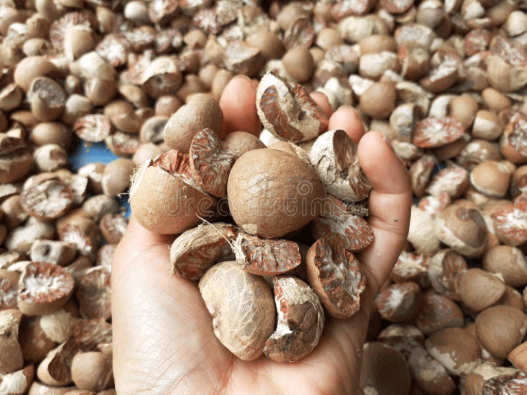 ඩිජිටල්කරණයට ලක්වන කරුංකා අපනයනය