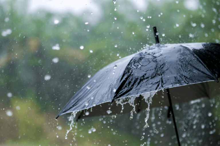 දිවයිනේ කාලගුණය
