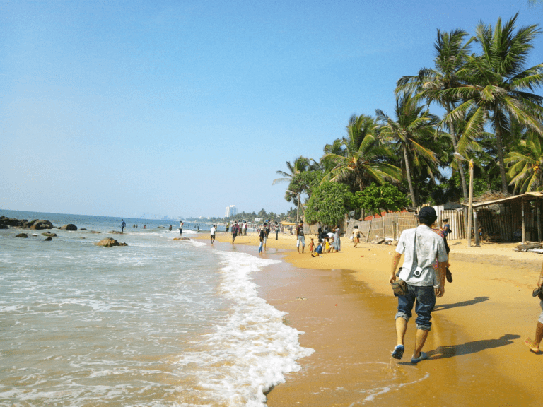 සංචාරකයන් ගෙන්වා ගැනීමේ විශේෂ වැඩපිළිවෙළක්