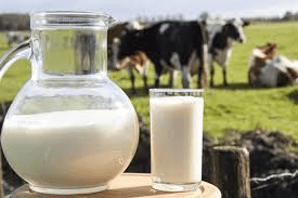 දියර කිරි ප්‍රවර්ධනයට වැඩපිළිවෙළක්