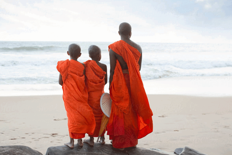 නව භික්ෂූත්වයක් අවශ්‍යකර තිබේ …. (VIDEO)