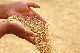 මිලදී ගැනීම සඳහා රුපියල් මිලියන 1000ක්