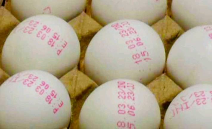 ආනයනික බිත්තර හෙට සිට අලෙවියට