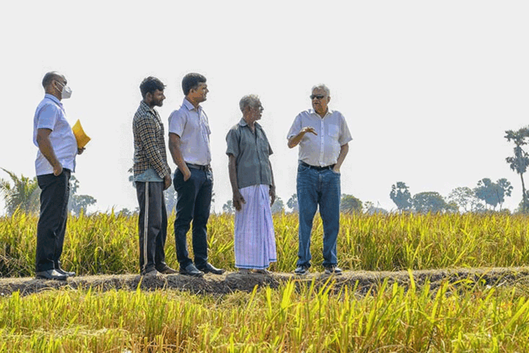 ජනපති රනිල්ගේ නව පොහොර ප්‍රතිපත්තිය නිසා යල කන්නයේ වාර්තාගත වී වගාවක් – අමරවීර