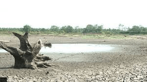 නියඟයෙන් දිස්ත්‍රික්ක 15 කට දැඩි ලෙස පීඩා