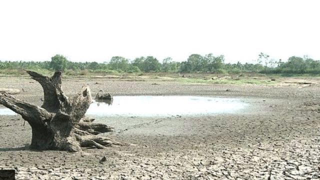 යල කන්නයට නියඟයෙන් දැඩි බලපෑම්