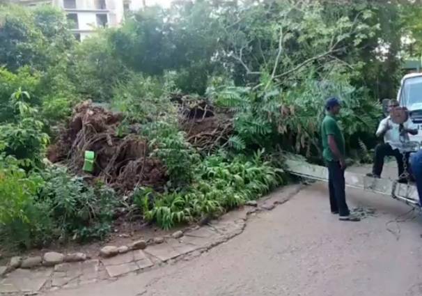දෙහිවල සත්වෝද්‍යානයේ ප්‍රධාන ආරක්ෂක නිලධාරියා ජීවිතක්ෂයට