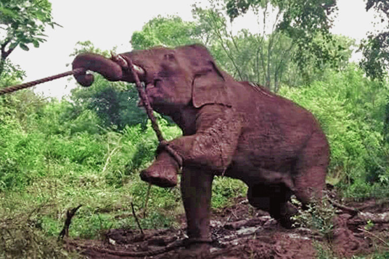 ඒ සද්ධන්තයාගේ ප්‍රතිවිරෝධය ….