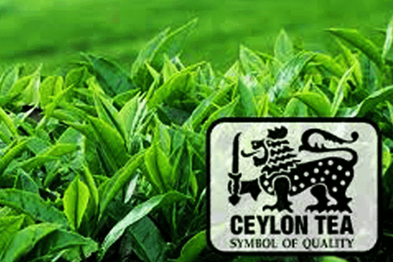 අපනයනය කරන තේ සඳහා බලපත්‍ර ගාස්තුවක් !