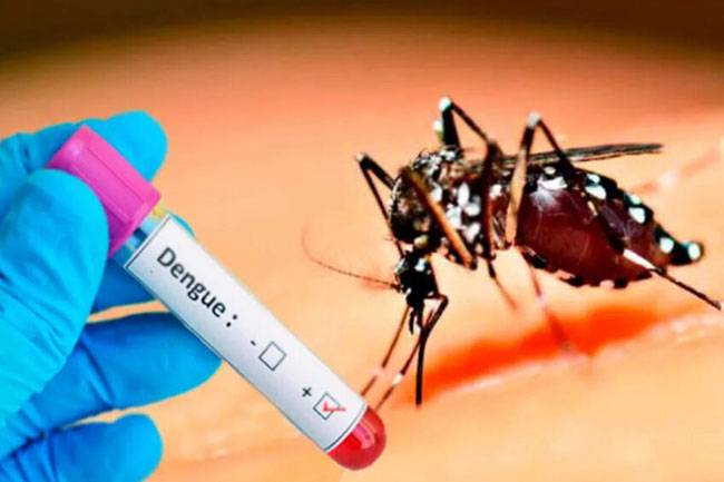 ඩෙංගු රෝගීන් වාර්තා වීම තවත් ඉහළට – දින 22ට 2000 ඉක්මවයි!