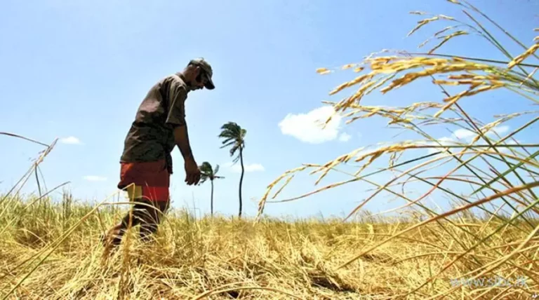 නියඟයෙන් වූ හානි තක්සේරු කරයි