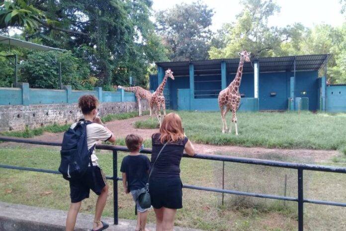 3-.-Less-visitors-c-Dehiwala-Zoo-Sri-Lanka-768x512