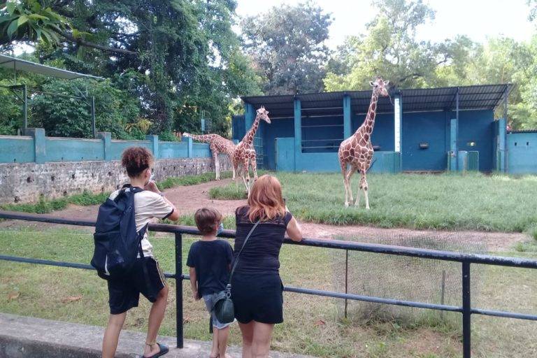 ලෝක ළමා දිනය දා දෙහිවල Zoo නැරඹීම දරුවන්ට නොමිලේ !