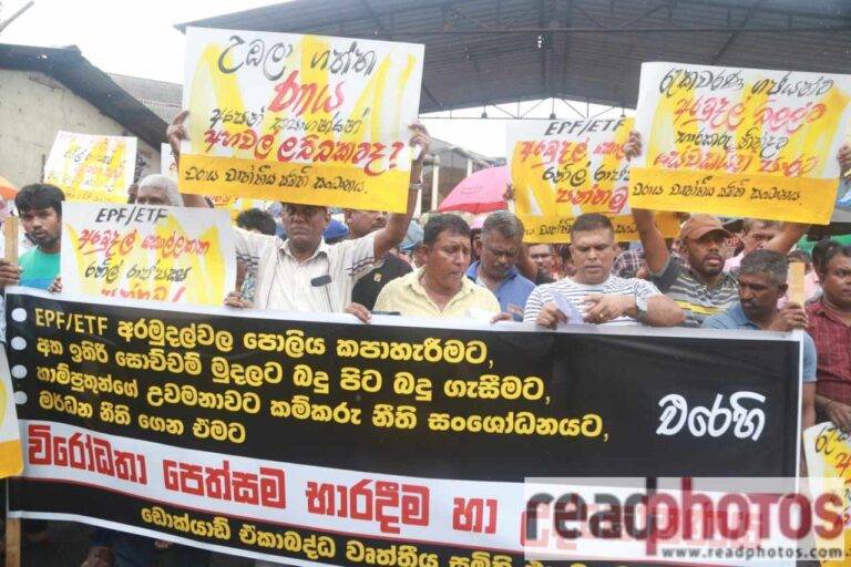 EPF / ETF අරගලයෙහි නිම නොවෙන විරෝධතාවක් අදත්!