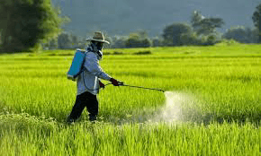 බාල පළිබෝධ නාශක විකුණුවොත් වැඩ වරදී