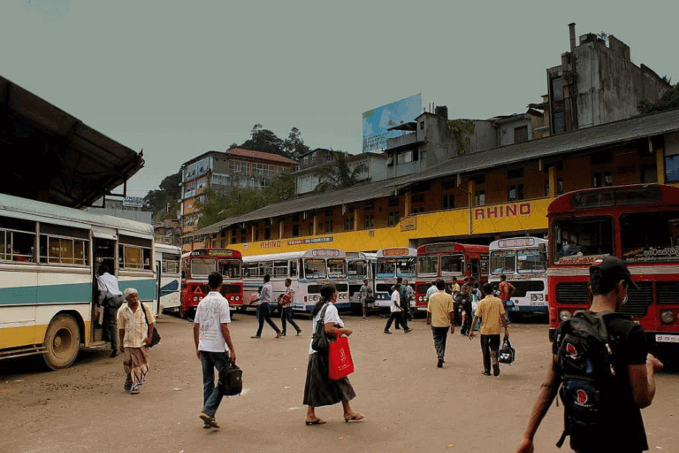 පොදු ගමනාගමන සේවා සම්බන්ධයෙන් අතිවිශේෂ ගැසට් නිවේදනයක් !