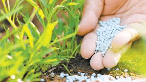 මහ කන්නයේ දී පොහොර සඳහා මුදල් ලැබෙන්නේ  මෙහෙමයි