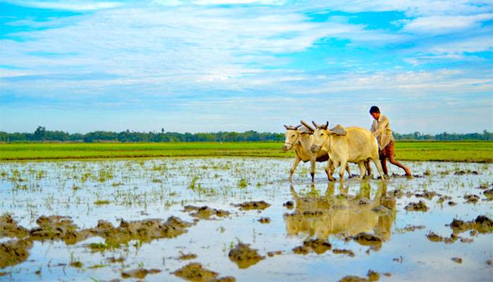 මහ කන්නයට ජලය නිකුත් කිරීමට සූදානම් – මහවැලි අධිකාරිය