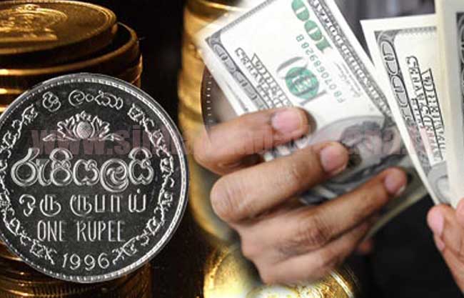අද (31) විනිමය අනුපාත!