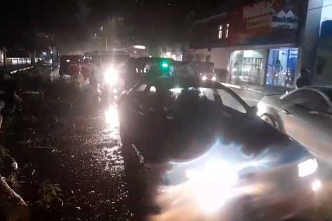 ඩුප්ලිකේෂන් පාරේ ගසක් කඩා වැටෙයි! රථවාහන ධාවනයට බාධා