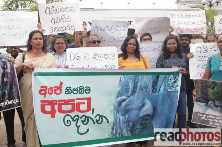 යුක්තියේ අඩහැරය” සද්ධන්තයින් වෙනුවෙන් පරිසර සංවිධාන පෙළගැසෙයි!