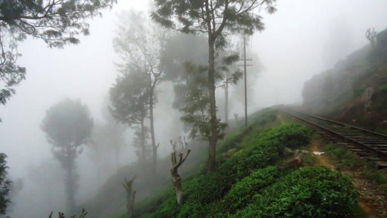 අද(27) කාලගුණය – දිවයිනේ ඇතැම් ප්‍රදේශ වලට වැසි, මධ්‍යම, සබරගමුව සහ ඌව පළාත්වලට මීදුම් තත්ත්වයක්,