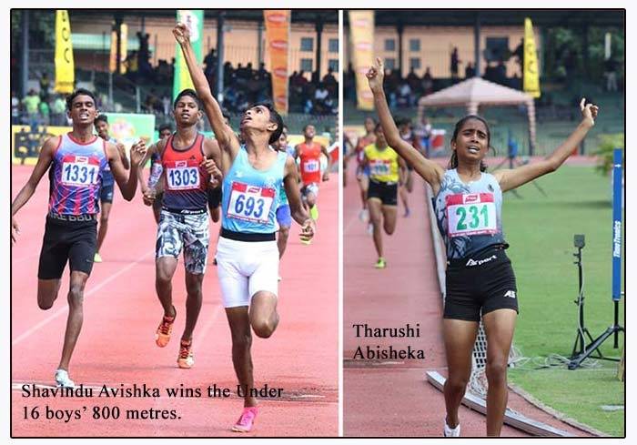 අලුත් තරුෂි කෙනෙක්