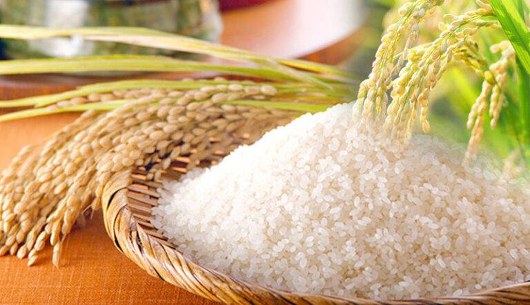 සහල් හිඟයක් නෑ, හිඟයක් මවා පානවා – කෘෂිකර්ම අමාත්‍ය