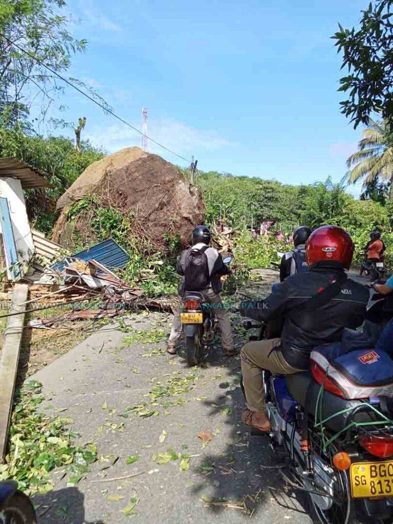 රත්නපුර කොළඹ ප්‍රධාන මාර්ගයට ගලක් පෙරළෙයි !