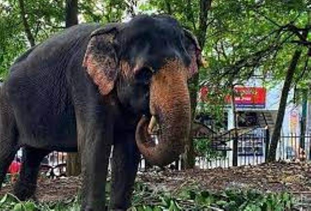 සීතාට X – RAY සහ ස්කෑන් පරීක්ෂාවක්