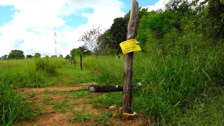 රණවිරු පවුල් 1500 ක් අලි කරදරයක…