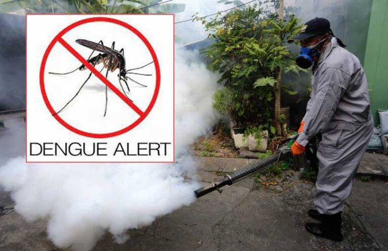 ඩෙංගු වැඩිවෙයිද ? මහජන සෞඛ්‍ය පරීක්ෂකවරුන් රාජකාරිවලින් ඉවත් වෙලා!