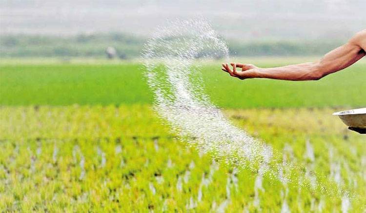 බන්ඩි පොහොර රුපියල් 9000 ට!