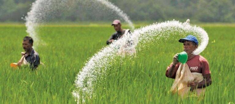 මහ කන්නයේ පොහොර වෙනුවෙන් රු. බිලියන 10ක්!