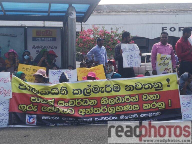 ”පොරොන්දු ඉටුකරන්න” – පාසල් සංවර්ධන නිලධාරීන් උද්ඝෝෂණයේ!