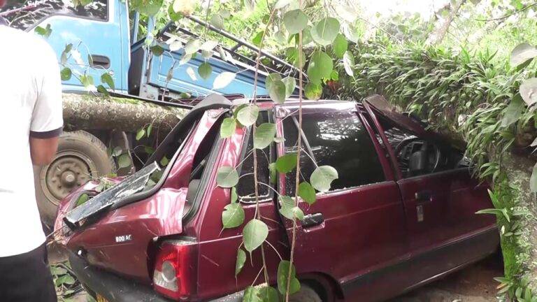 ගසක් කඩා වැටීමෙන් වාහන කිහිපයකට බරපතල හානි