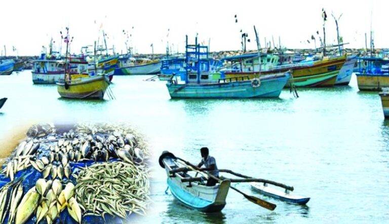 ධීවර පනතකුත් අලුතින් එයි!